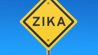 Zika-Virus