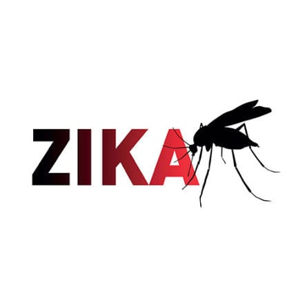 Das Zika-Virus kommt nur in Südamerika vor.